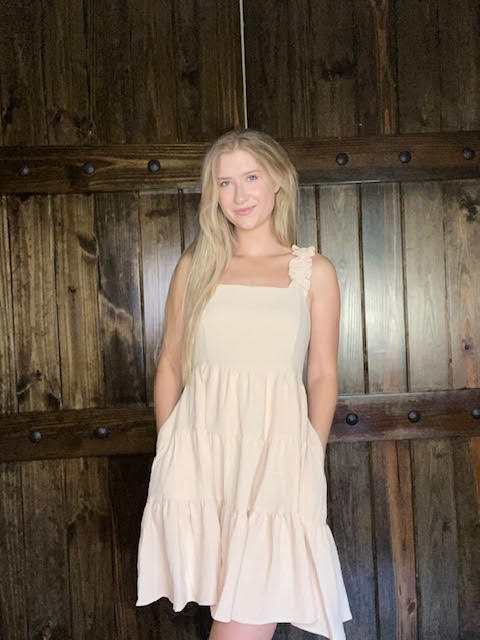 Taupe Country Dress - Sweetwater Boutique 